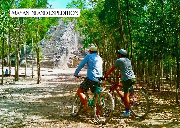 Location With Rooftop Pool, Gym And Padel Court * Tulum