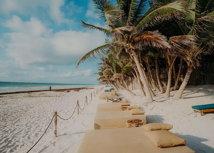 Apartment Location With Rooftop Pool, Gym And Padel Court Tulum