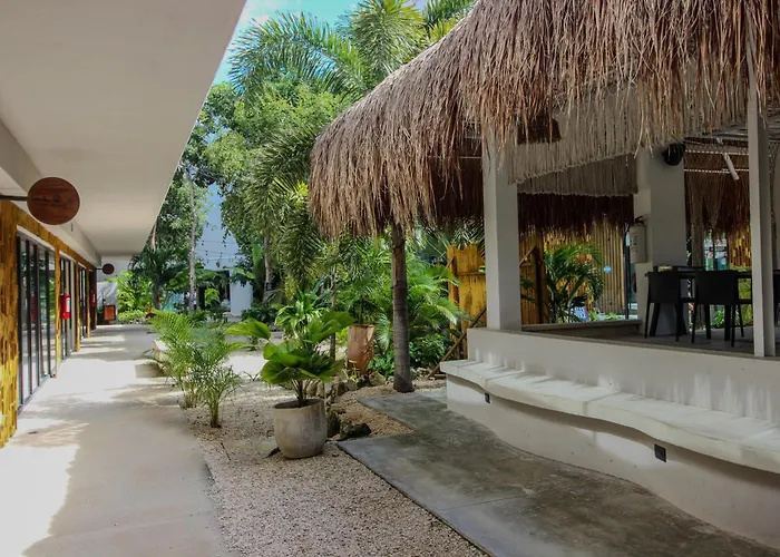 Apartment Location With Rooftop Pool, Gym And Padel Court Tulum