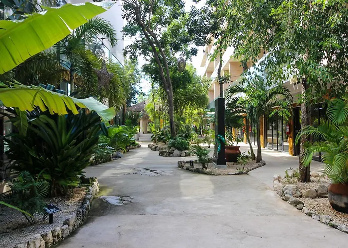 Apartment Location With Rooftop Pool, Gym And Padel Court *